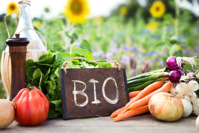 Ist Bio wirklich die beste Option? Vor- und Nachteile von Bio