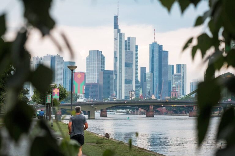 Vegane asiatische Restaurants in Frankfurt